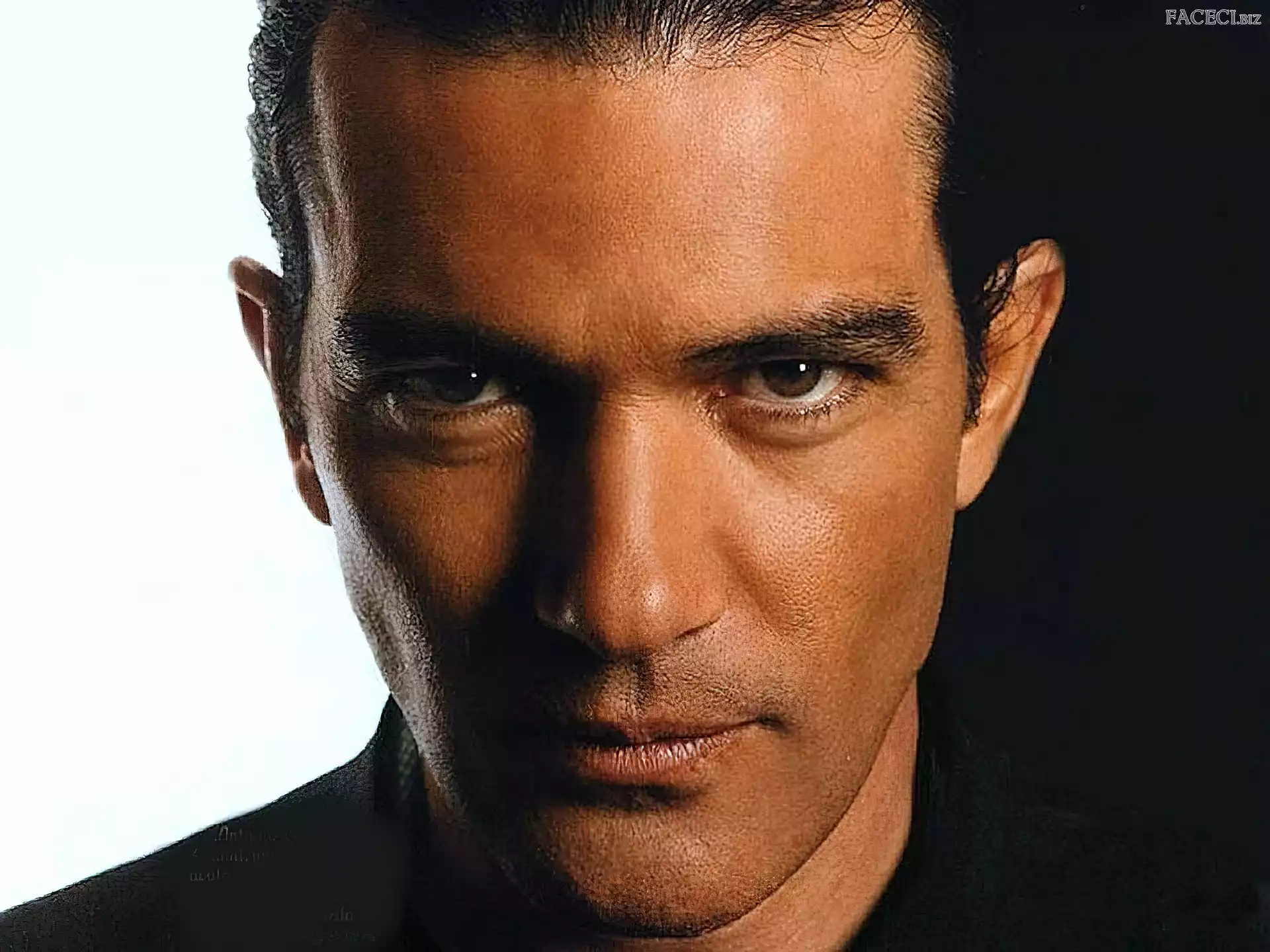 Twarz, Antonio Banderas